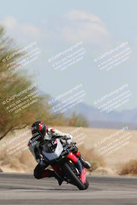 media/Oct-13-2025-Moto Forza (Mon) [[a66d839500]]/3-B Group/Session 4 Turn 4 Tree of Life/